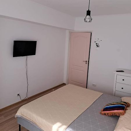 ブカレストApartament Titulescu/Banu Mantaアパートメント エクステリア 写真