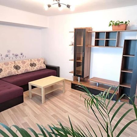 ブカレストApartament Titulescu/Banu Mantaアパートメント エクステリア 写真