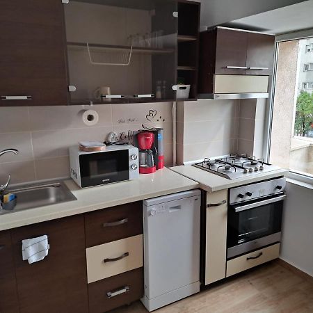 ブカレストApartament Titulescu/Banu Mantaアパートメント エクステリア 写真