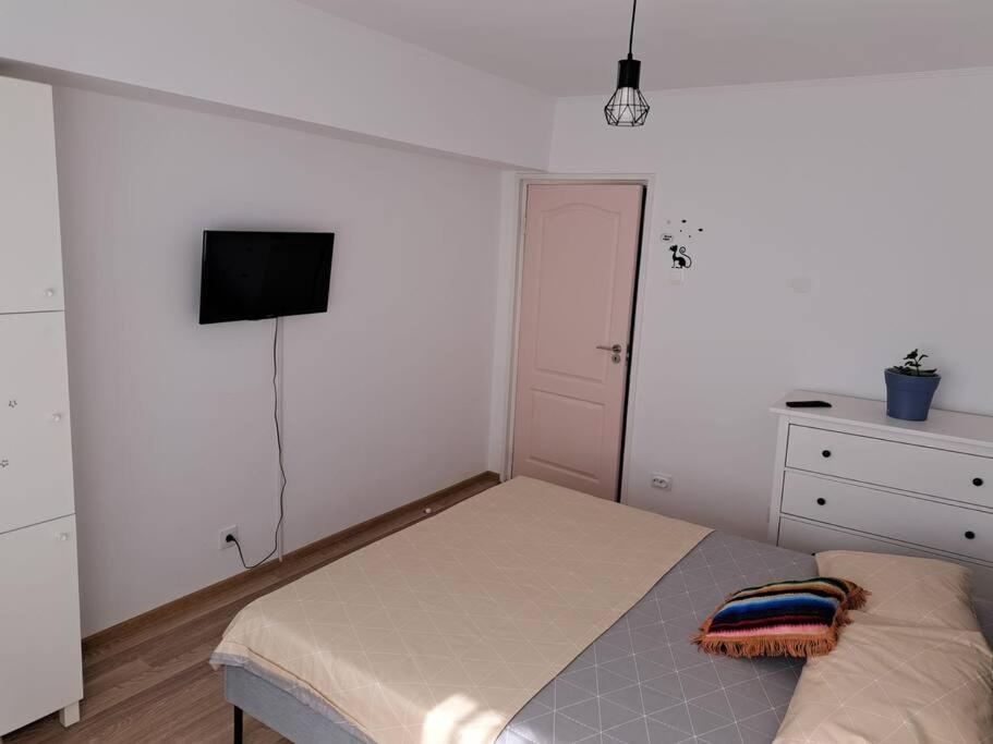 ブカレストApartament Titulescu/Banu Mantaアパートメント エクステリア 写真